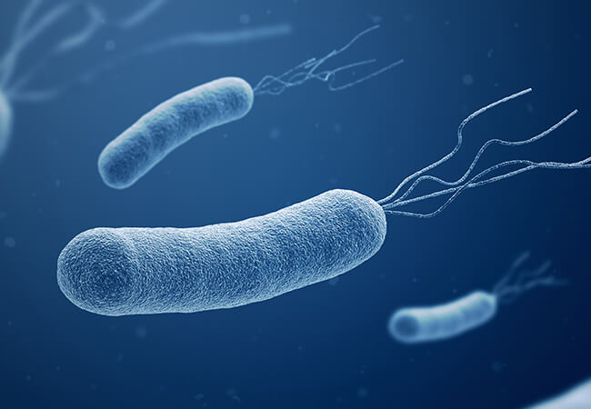 ピロリ菌のイメージ